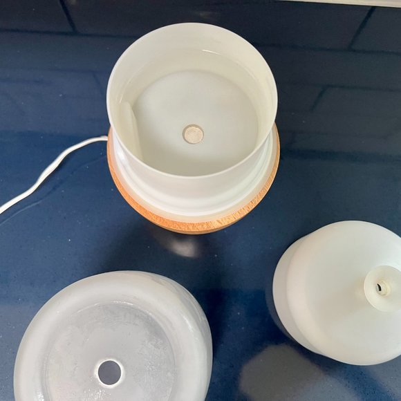 Nature's Stress Reliever!  Relaxing Color Changing Homedics Diffuser - Picture 6 of 16